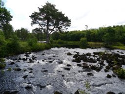 Irland 1